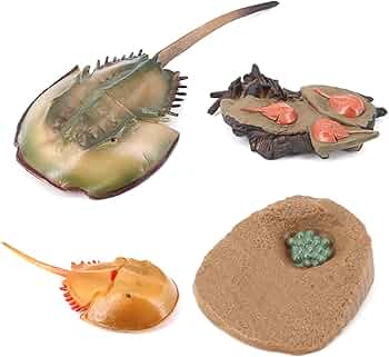 61Bo+d8-wcL._AC_UF350,